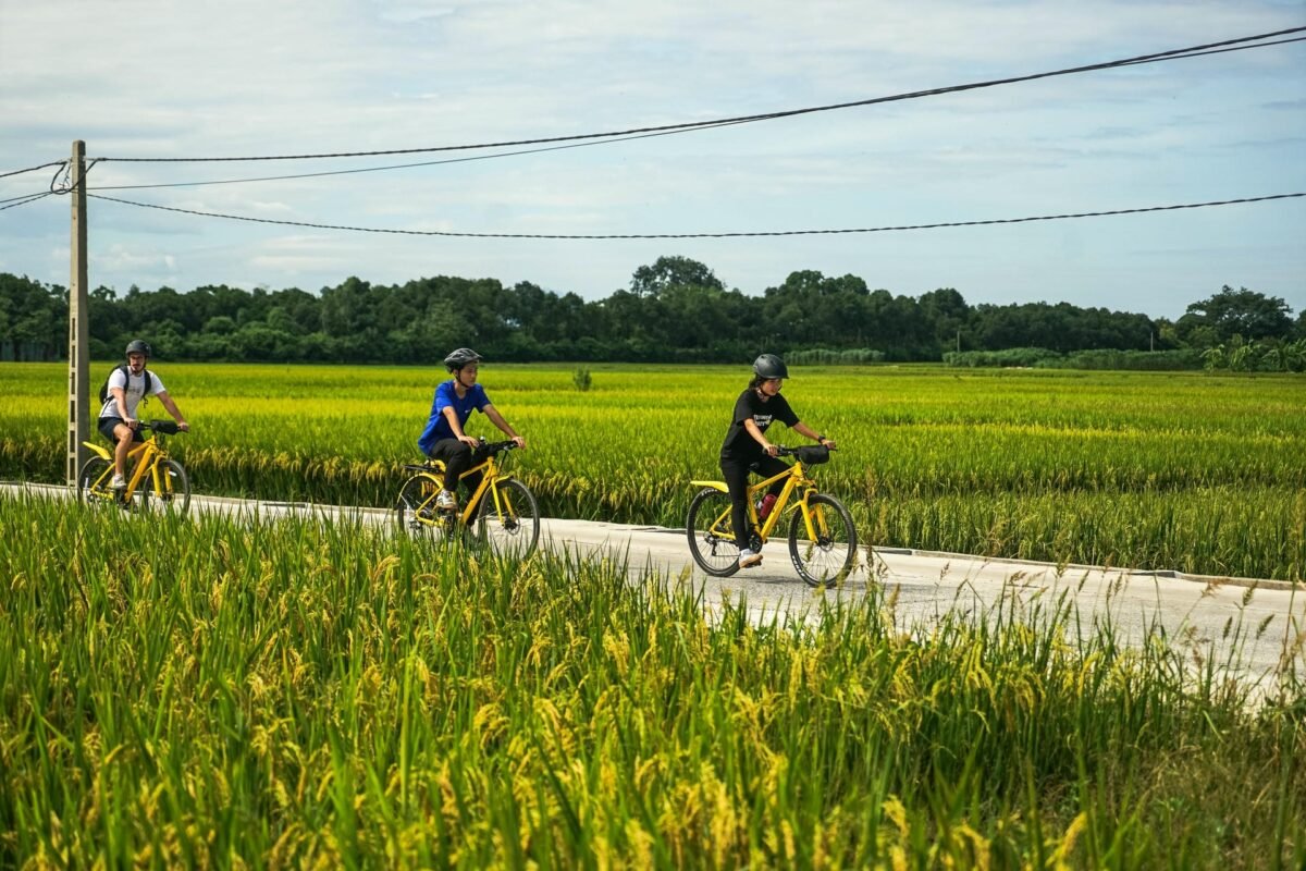Electric Bike Tour Hanoi: Ancient Co Loa Citadel Day Trip